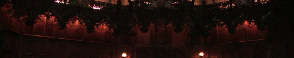 妹魔王ルファルサ！！〜お兄ちゃん勇者は妹の愛の炎で射精する運命〜