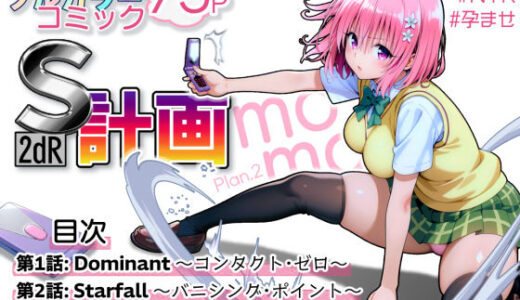 S計画.2 〜第3王女・モモ、奴◯堕ち〜