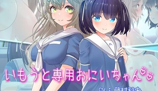 いもうと専用おにいちゃん2