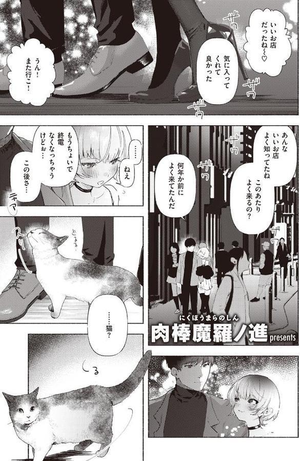野良猫