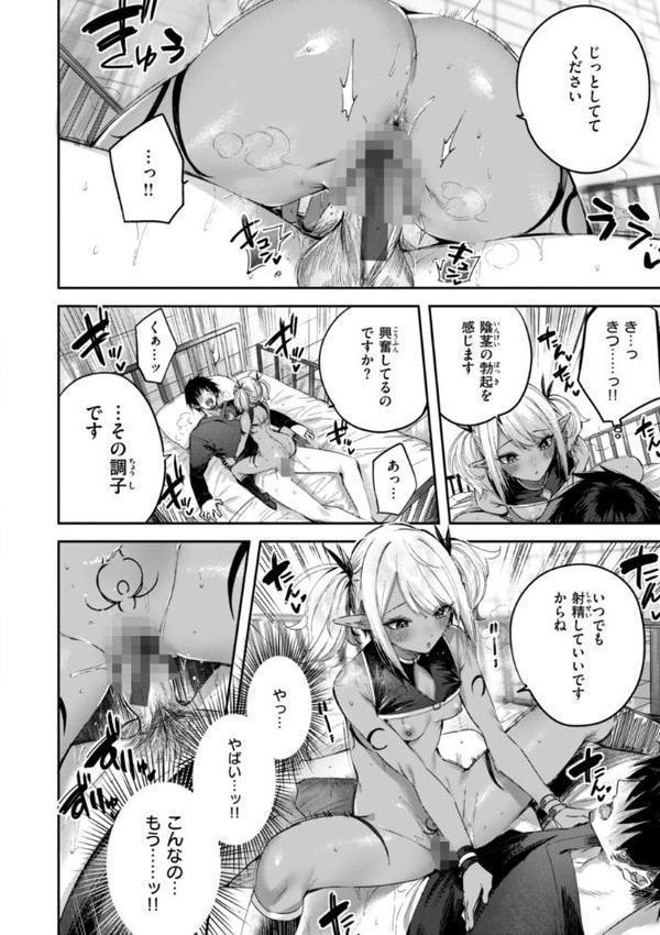 独身ハンターの出逢いはエルフの森で【単行本版】