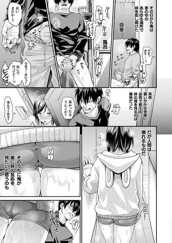 乙女淫乱化計画