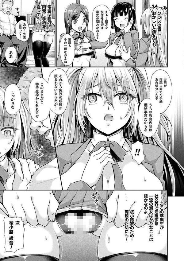 乙女淫乱化計画