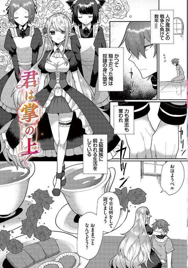 幻惑ぱふゅーむ