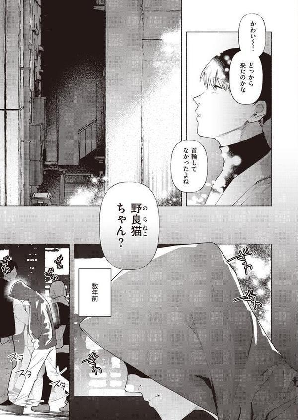 野良猫