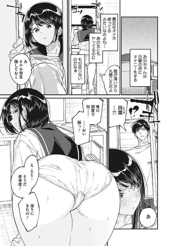 わたしのおもちゃと、おにいちゃんと