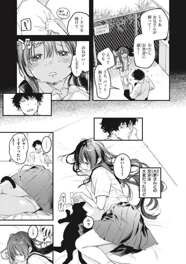 恋のむきだし