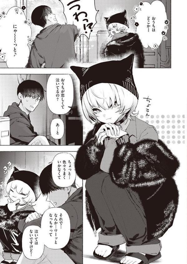 野良猫