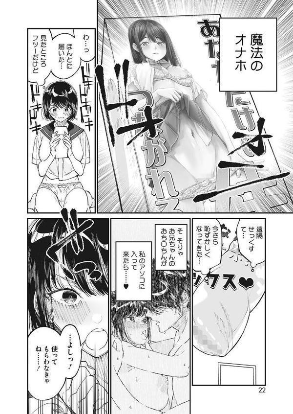 わたしのおもちゃと、おにいちゃんと