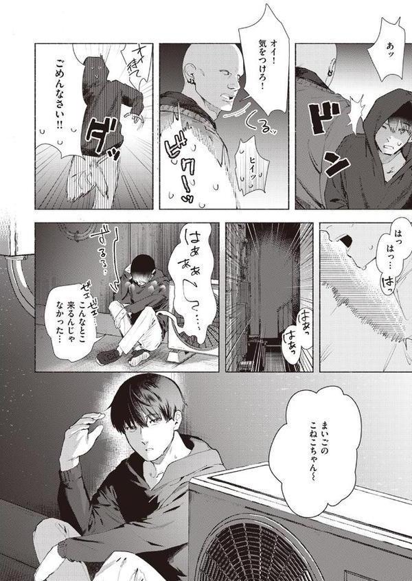 野良猫