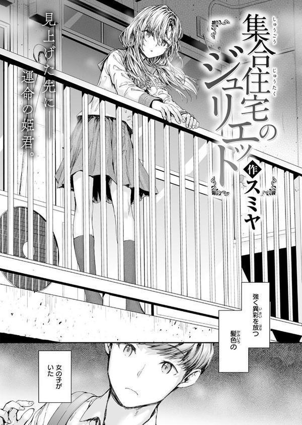 集合住宅のジュリエット