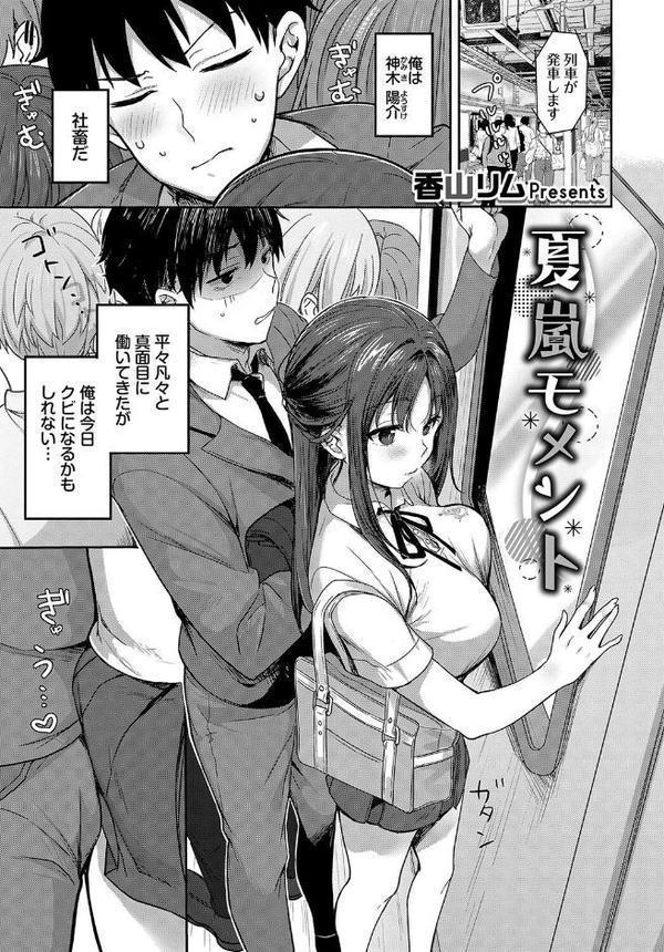 車内猥褻 vol.2