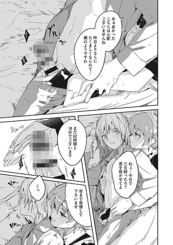 レイカは華麗な僕のメイド