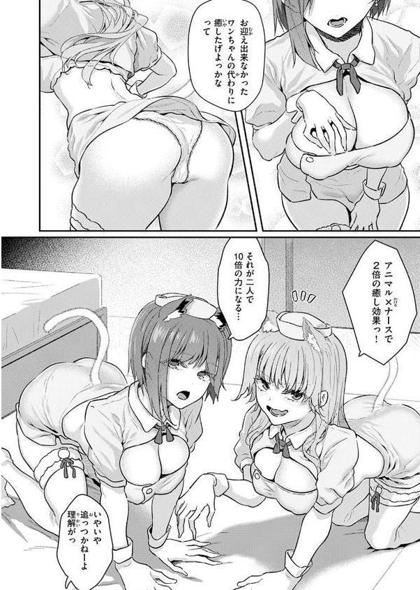 飼い主はじめました。