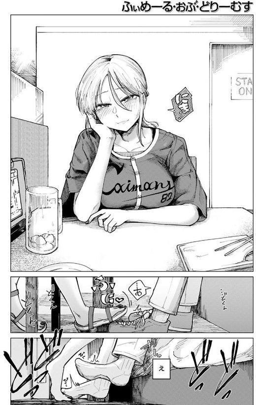 ふぃめーる・おぶ・どりーむす