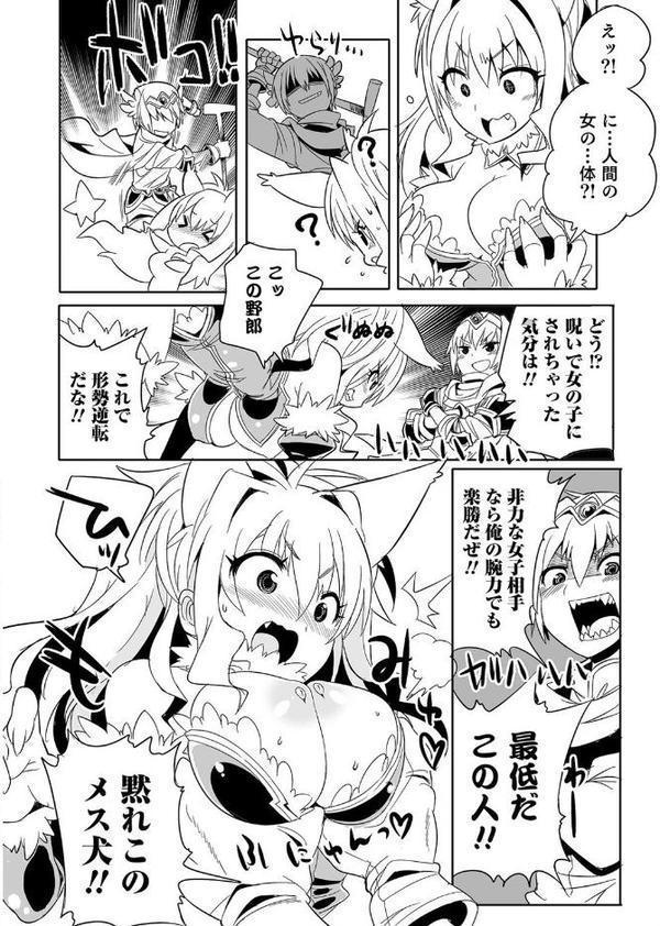 ファンタジーえちえち大全 〜宇宙人・女神・モンスター娘・メイド 異世界はスケベ娘がいっぱい〜【エンタメ】