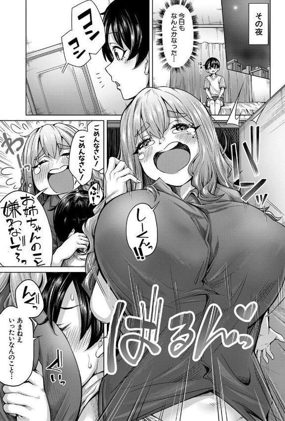 ぼくとえっちなお姉ちゃん【1話立ち読み付き】
