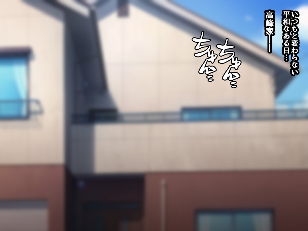 催●教団に奪われる総集編（シリーズ3作品セット＋After）