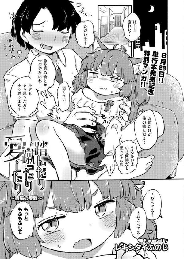 コミックカイエン（快艶） VOL.28