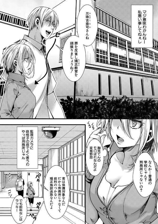 少女A矯正交尾 -人生舐めプ中のメスに肉棒で再教育しちゃいました-特装版