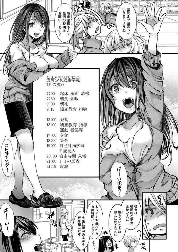 少女A矯正交尾 -人生舐めプ中のメスに肉棒で再教育しちゃいました-特装版