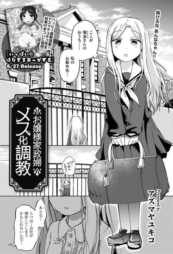 コミックカイエン（快艶） VOL.28