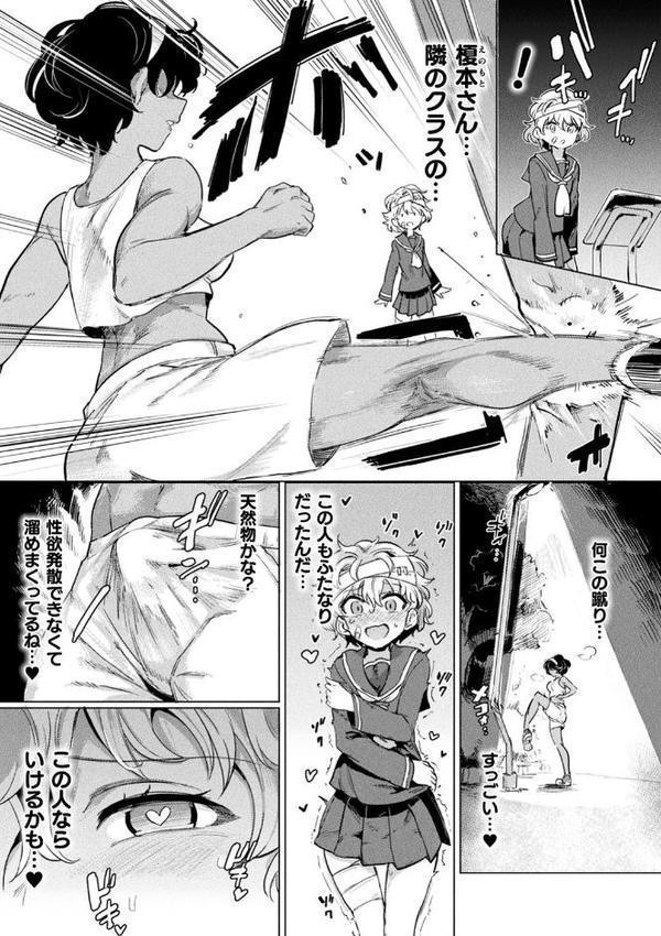サキュバスちゃんと邪悪なふたなり元カノ軍団【電子書籍限定版イラストラフ集＆解説付き】