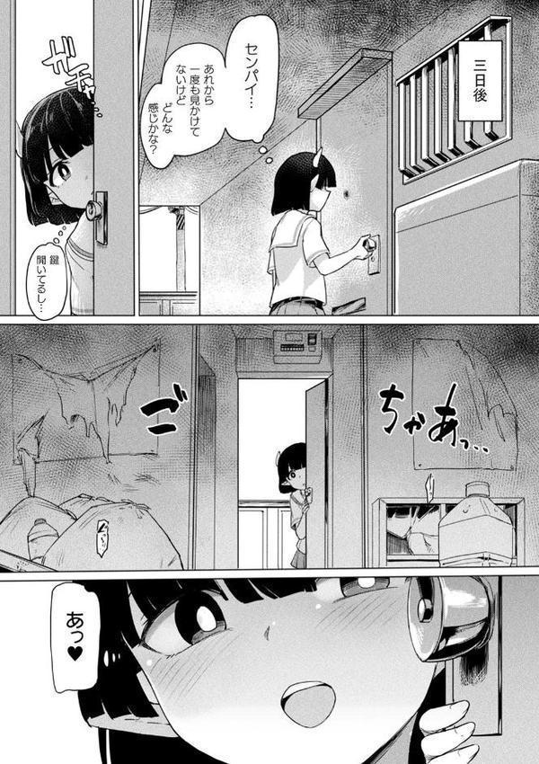 サキュバスちゃんと邪悪なふたなり元カノ軍団【電子書籍限定版イラストラフ集＆解説付き】